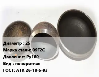 Заглушка стальная 25 Сталь: 09Г2С Ру160 поворотная ГОСТ: АТК 26-18-5-93